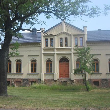 Ferienwohnung Gaensebluemchen In Buchholz Steinhofel Exteriér fotografie
